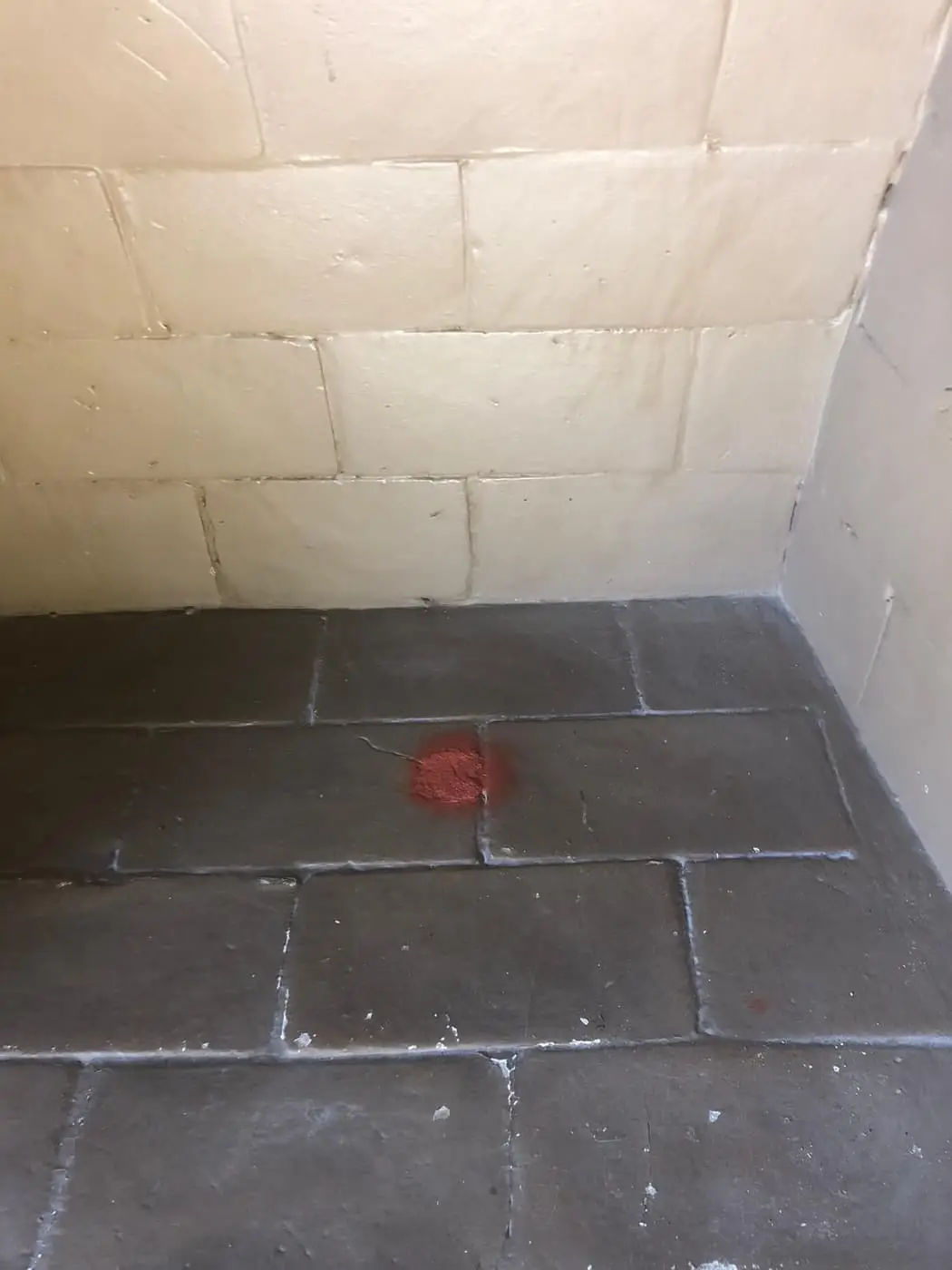 Una cámara de combustión barrida, con paredes de ladrillo refractario claro y piso de baldosas.
