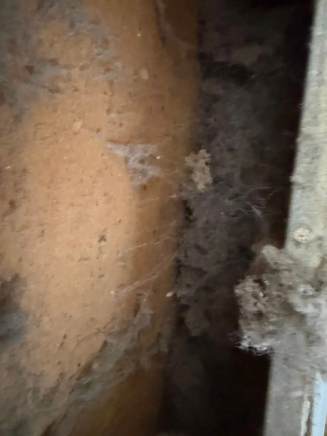 Pelusa y telarañas pegadas dentro del hueco de una pared, junto a un conducto.